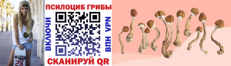 Галлюциногенные грибы Psilocybe МЕГА как зайти Ликино-Дулёво